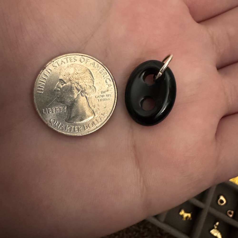 Onyx Puffy Mariner Extender and Charm with Silver Tone Bail